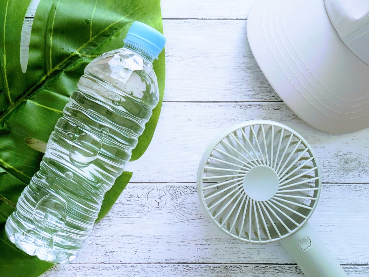 【ジム初心者必見】ダイエットに欠かせない“ミネラル”の話