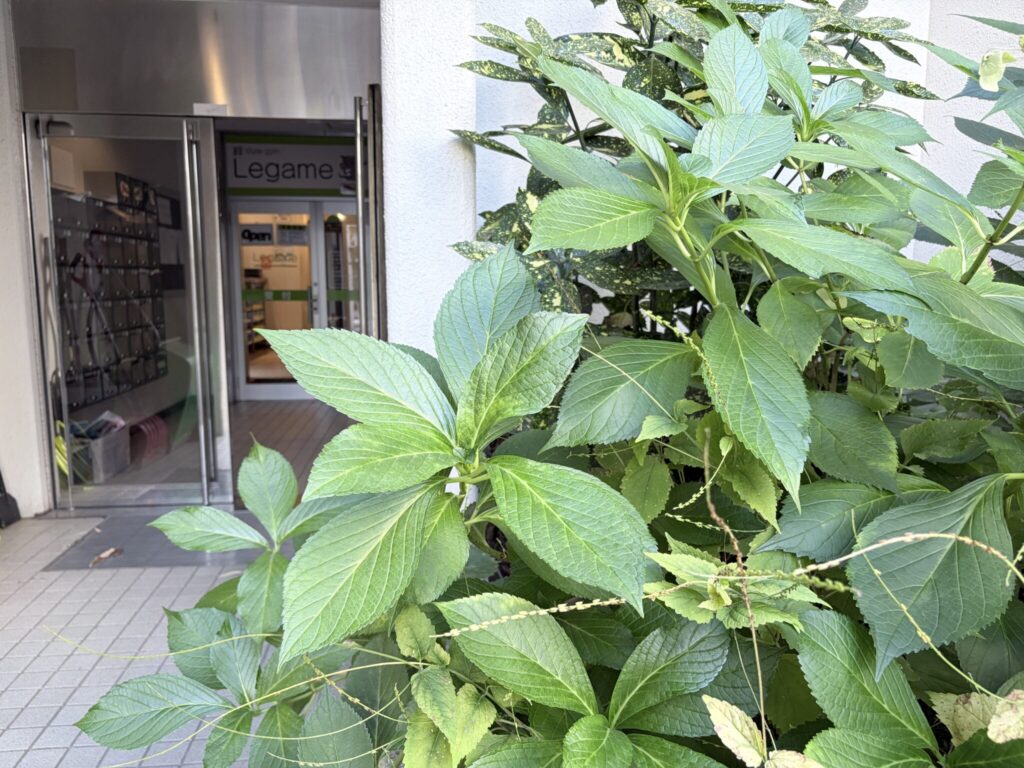 植栽の奥に、Legameの看板が掲げられたガラス扉の入口が見える