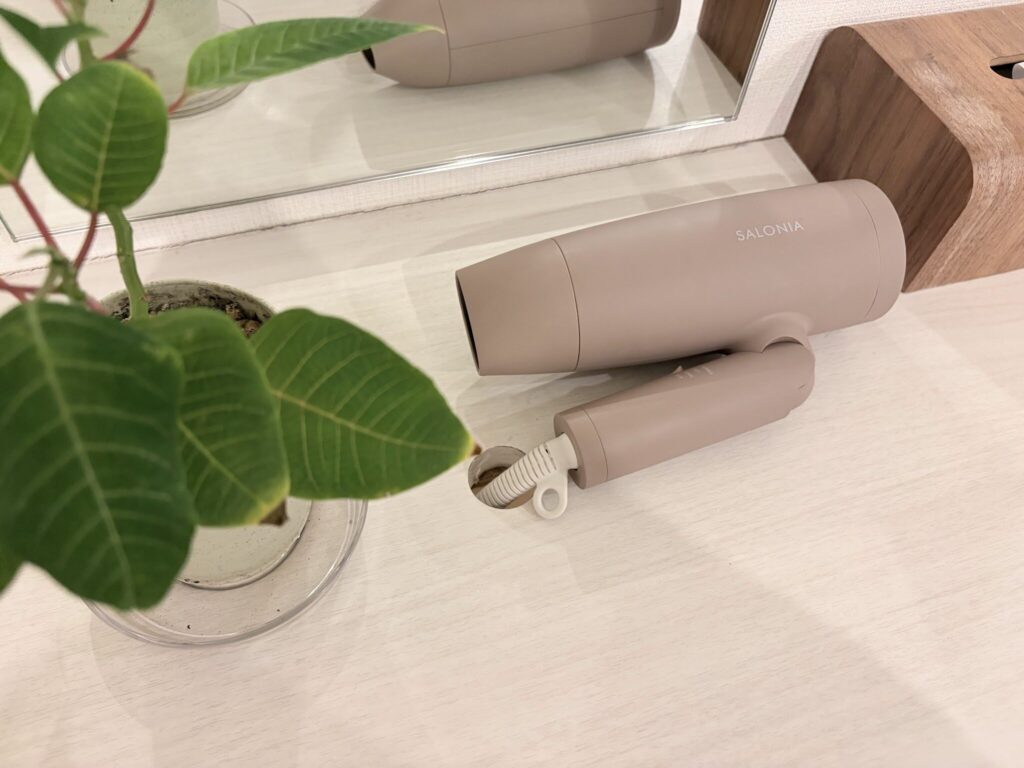 鏡のある洗面台にヘアドライヤーと観葉植物が置かれている