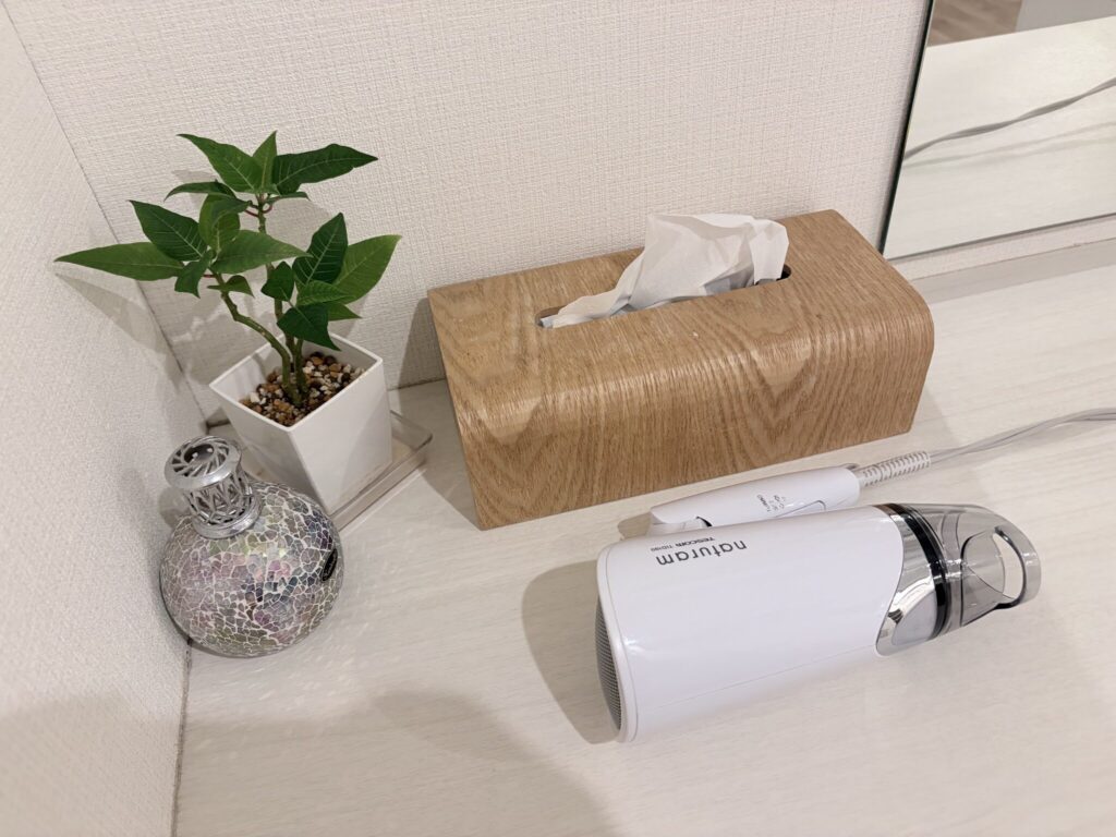 白いカウンターの上にドライヤーとティッシュボックス、観葉植物が置かれている